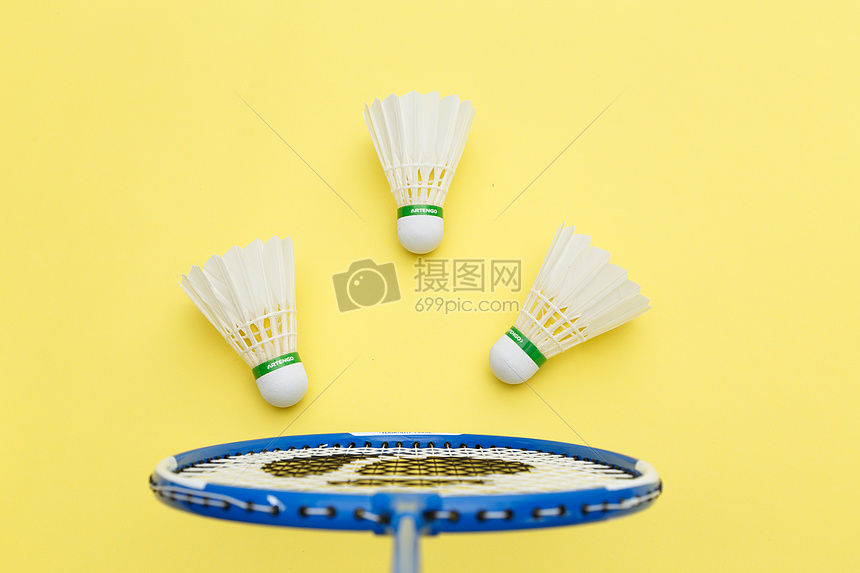 的邹敬园 的邹敬园